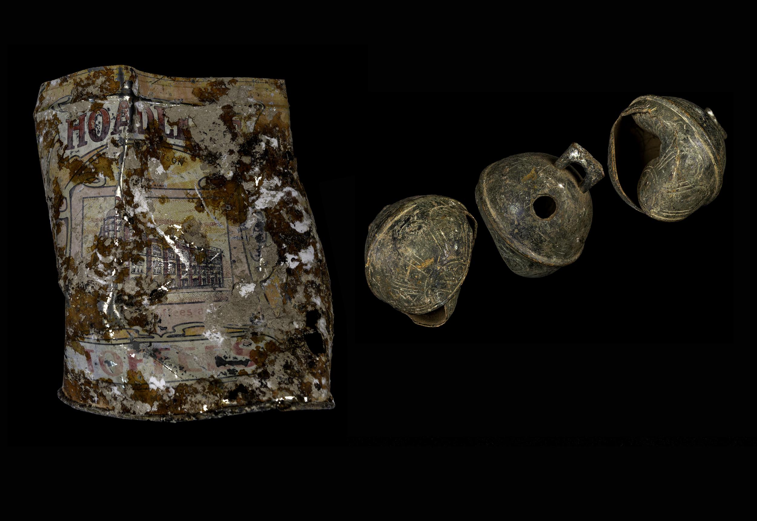 Wiltshire Centre for Independent Living Wessex